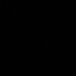 Meet your Posher, Maggie